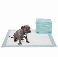 Quality PE Pet Urine Pad Eco Friendly Genebest 36x36 Pee Pads wholesale