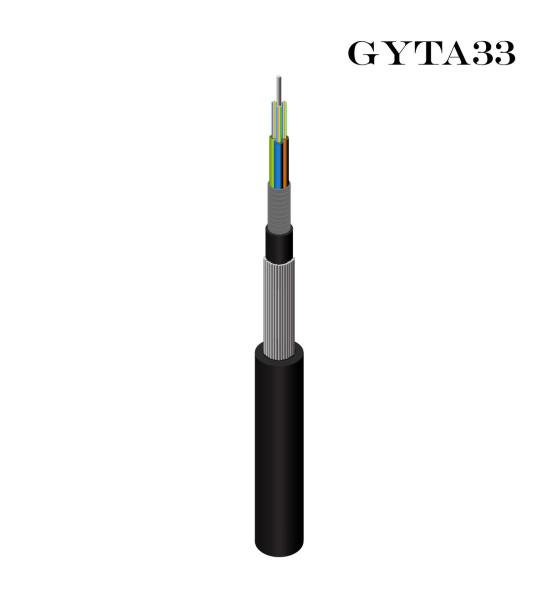 24 48 72 96 256Cores Double Armored Stranded Outdoor Fiber Optic Cable Steel