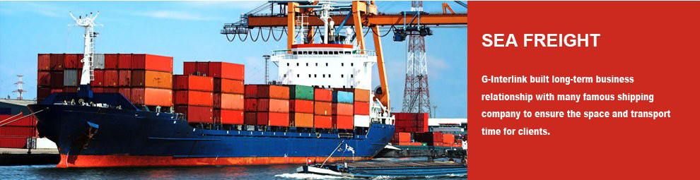 Special Service Sea Freight Logistics To Mexico With Collect Service