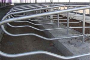 Quality 2m Length 3mm Pipe Livestock Divided Cow Free Stall wholesale