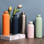 Travel Stainless Steel Double Wall Insulated Vacuum Bottle With Cap Water