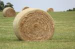 HDPE Well-Knitted White Bale Wrap Net