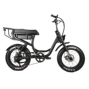 Quality Commute Warehouse 1000w 73 750w Dual Motor Fat Tire Electric Bike Electric Cruiser Bikes wholesale