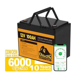 Quality Lifepo4 Lithium Iron Battery Pack 48V 200ah 12V 24V 36V 48V 72V 100ah 200ah 50ah 150ah 250ah 80ah wholesale
