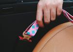 1.2ft Safe Pet Car Seatbelt Puppy Seat Belt Harness