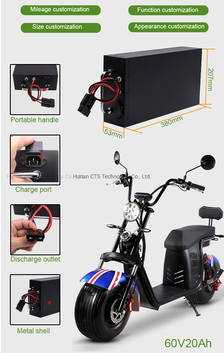 LiFePO4 24V 36V 48V 60V 72V 20ah Lithium Battery Scooter 500W Electric Bike Battery Pack with BMS