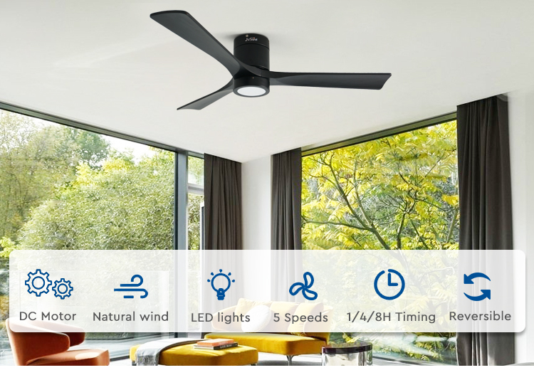 ceiling fan with light