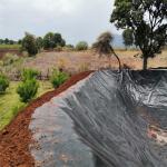 Chinese Design Style HDPE Geomembrane for Aquaculture Fish Farm Dam Landfill