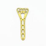 Medical Orthopedic Multi-Axial Distal Radius Medial Locking Plate
