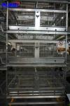 CHICKEN CAGES IN KENYA