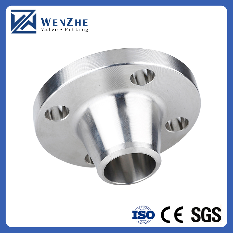 OEM F316/F316L Inox Stainless Steel 304/316 Weld Neck Wn Flange Forged Flange for Equal