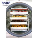 4~6kg Wholesale Minitype Food Vacuum Lyophilizer Home Mini Freeze Drying Machine
