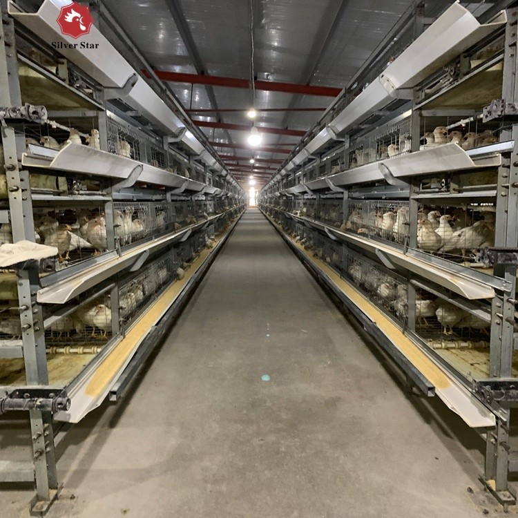 Poultry Farm Broiler Chicken Cage Galvanized Steel Automatic H Type Q235A