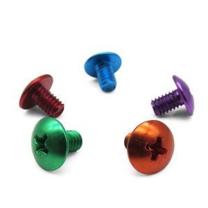 Quality Plastic Umbrella Head Screw Phillips Anodized Aluminum Special Screw wholesale