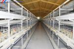 Hot Dip Galvanized Steel Poultry Farm Cage Automatic Meat Broiler Poultry Cage
