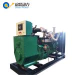 Natural gas generator LPG generator 100kw