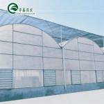 Used Container Tomato Greenhouse PE Material Optional Ventilation System