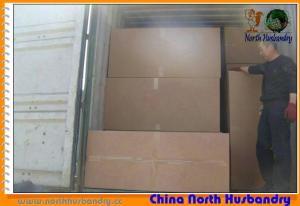Quality North Husbandry -Poultry Farm Evaporative Cooling Pad wholesale