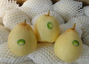 Quality Delicious Oriental Pear wholesale