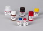 For Laboratory Or Hospital High Accuracy BGI-GBI® Monkeypox Virus (MPV)