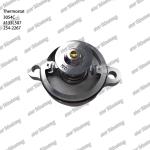 Thermostat 3054C 4133L507 254-2267 Engine Part