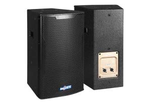 Quality 10 inch pro audio loudspeaker two way pa outdoor stage speaker MT-10 wholesale