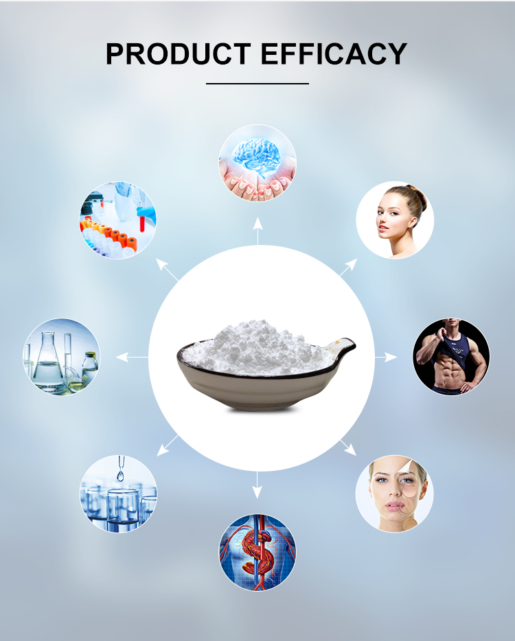 Professional 99% Purity NAD Nicotinamide Adenine Dinucleotide Powder CAS 53-84-9
