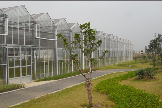 Exquisite Aluminum Frame Glass Greenhouse Gutter Height 3.0m-6.0m Easy Assemble