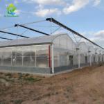 OEM Agricultural PC Sheet Greenhouse