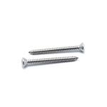 Inox A4 Torx Self Driving Timber Oval Head Star Drive SS AISI 316 Stainless