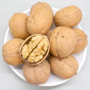 Quality Walnut Xin 2 wholesale