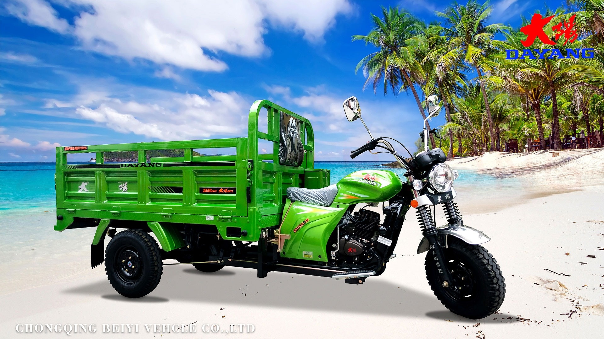 250W Three Wheel Cargo Motorcycle with Open Body Tricycle and 1200kg Loading Capacity