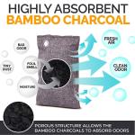OEM LOGO Activated Bamboo Charcoal Air Purifying Bag Odor Absorber 10x100g with