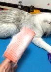 Silicone Dog Grooming Tools , Touch Smoothly Dog Grooming Accessories