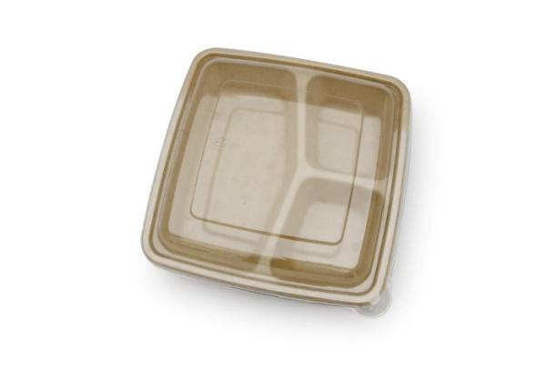 9 inch Outdoors Takeaway Food Containers Disposable Lunch Biodegradable