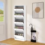 Wooden shoe cabinet with five door