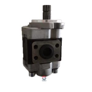 Quality Forklift Car Gear Pump CBJ-F30-AFH1L wholesale