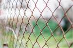 PVC Coated 3mm Wire 4m Length Chain Wire Fencing