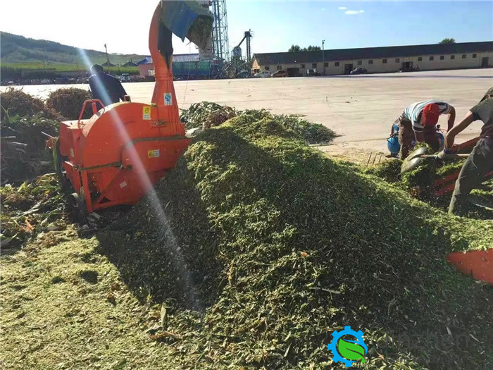 Automatic Feeding Silage Chaff Cutter Straw Crusher Forage Hay Cutter For Animal Feed Processing