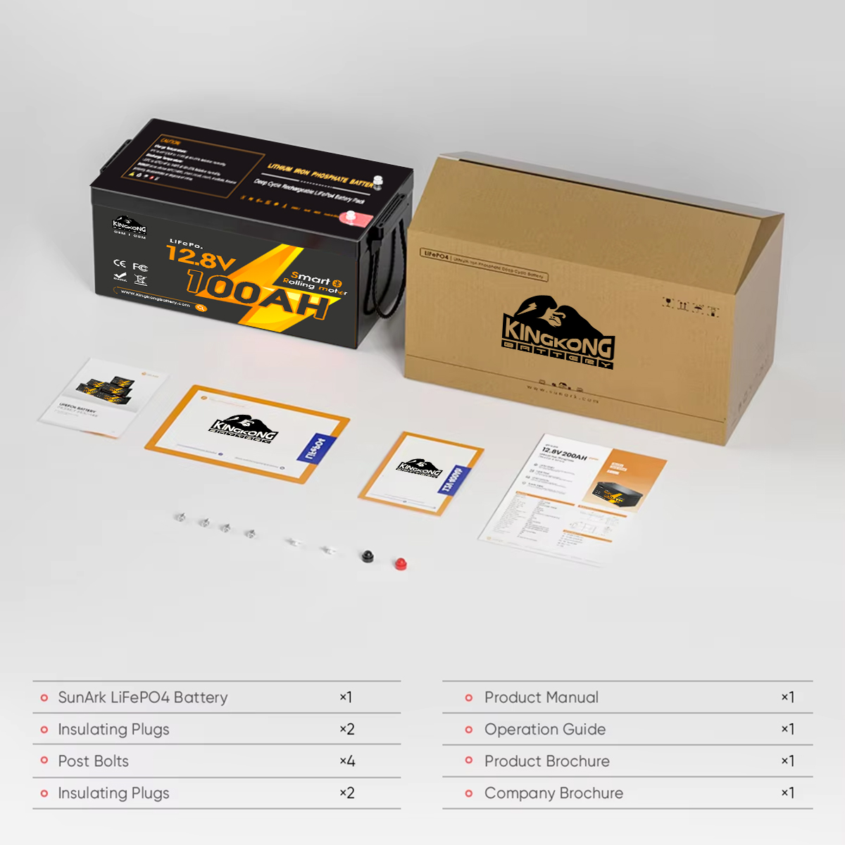 Customized Electric Boat Lifepo4 Battery Pack 12V 24V 36V 48V 60V Volt Lithium Ion Battery Pack For Boat Rv Camper Car