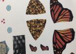 Professional Sealing Waterslide Decals , Transfer Decals For Furniture