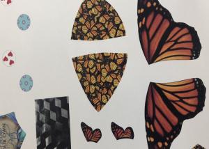Quality Professional Sealing Waterslide Decals , Transfer Decals For Furniture wholesale