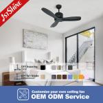 Power Saving Decorative ROHS Ceiling Lamp With Fan 3 Solid Wood Blades