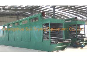 Quality Dw Mesh Belt Dryer Machine Red Bean Industrial Spray Dryer wholesale