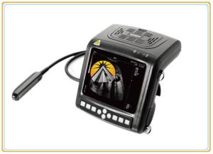Quality Horse Digital Wrist Top Ultrasound Scan Machine Compact Design 256 Frames Cine wholesale