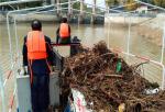 River Water Clean Garbage Collection Cleaning Trash Skimmer Boat