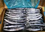 3% Moisture Saury Fish 90g 100g Fresh Frozen Seafood