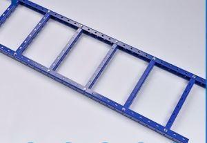 Quality 1.0-3.0mm Thicknees Electrostatic Powder Coated Large-Span Ladder Cable Tray with Hole wholesale