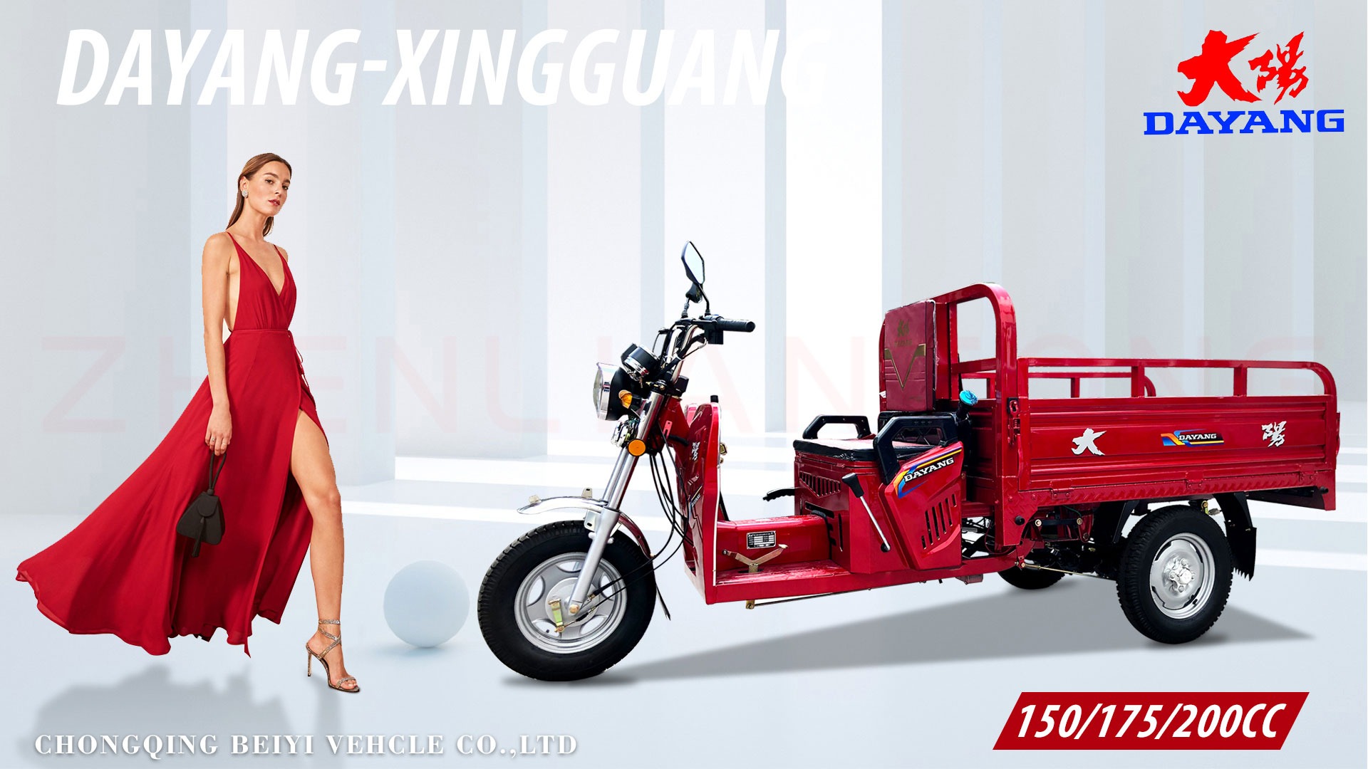DAYANG Tricycle Motorcycle Cargo with 110cc Air Cooled Engine 3 Wheels and 4.0-12 Tires