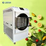 Multi-Function Lab Commercial Vegetable Snack 60KG Vacuum Freeze Dryer